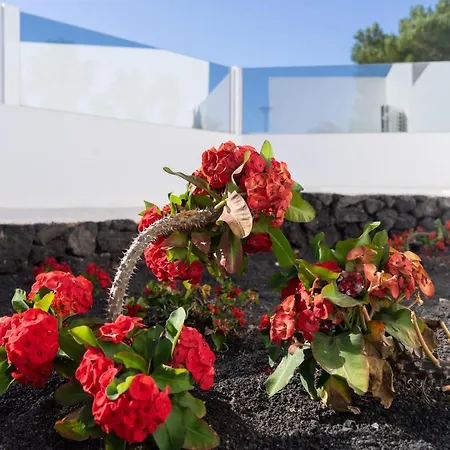 & Princesa Mercedes - Puerto Del Carmen, Lanzarote - Near The Villa