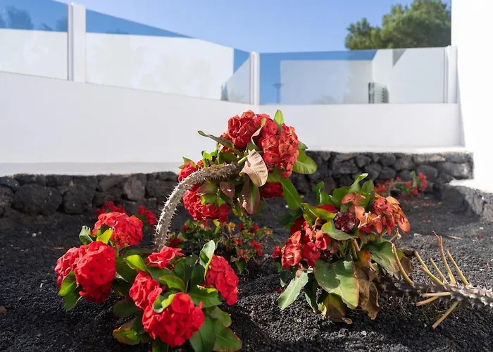 & Princesa Mercedes - Puerto Del Carmen, Lanzarote - Near The Villa